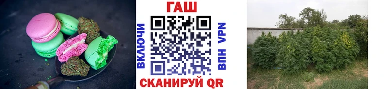 кракен как зайти  Советская Гавань  Canna-Cookies конопля 