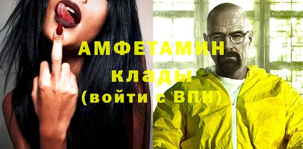 стаф Алексин