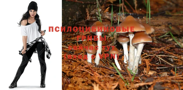 кокаин премиум Абаза