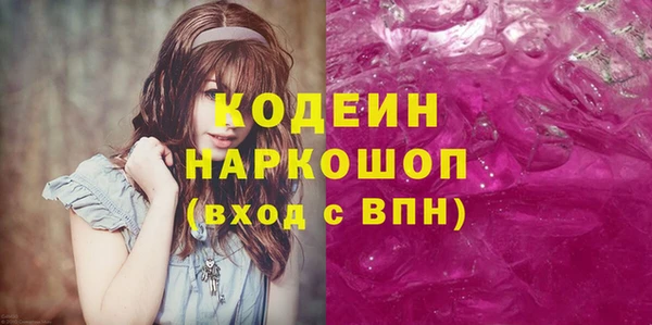 индика Карпинск